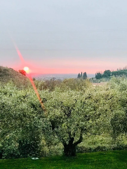 AperivOLIO: Degustazione tra gli Ulivi del Garda con cicchetti veneti gourmet 6